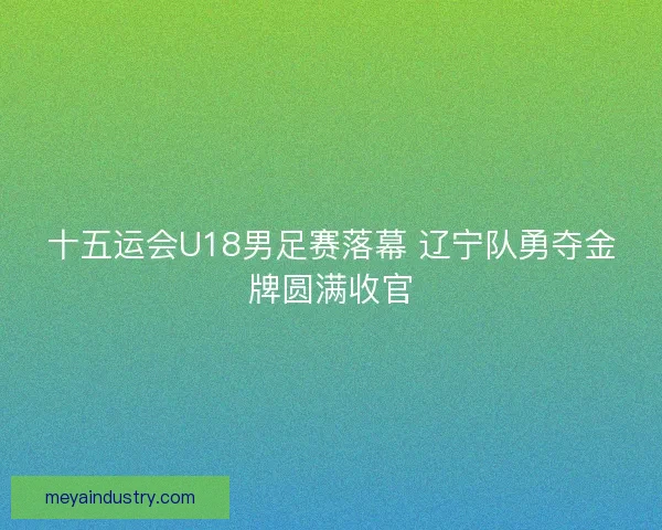 十五运会U18男足赛落幕 辽宁队勇夺金牌圆满收官